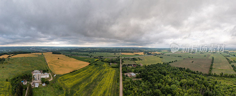 鸟瞰油菜籽田和乡村道路，Bradford West Gwillimbury，加拿大